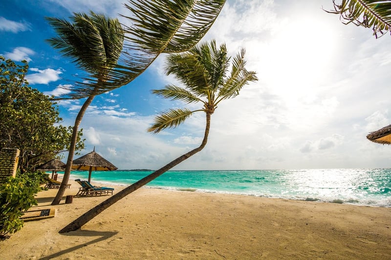 Exotic Destination
